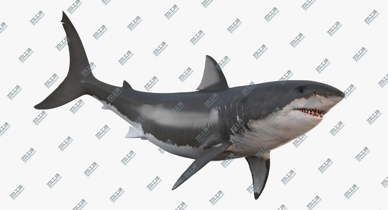 images/goods_img/202105074/3D White Shark Animated/2.jpg